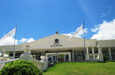 Tour de viñedos y bodegas por san rafael