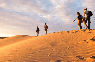 Excursión al Cañón y Dunas El Nihuil