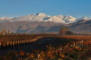 San Rafael Bodegas Mendoza