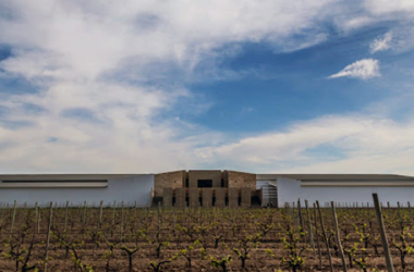 Bodega con degustación en San Rafael