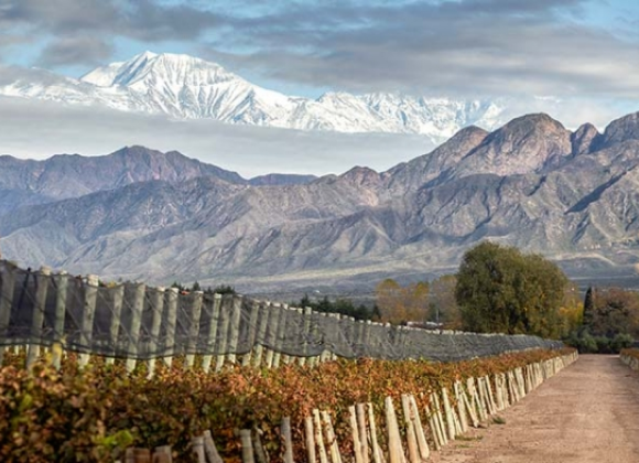 Bodegas en San Rafael Mendoza